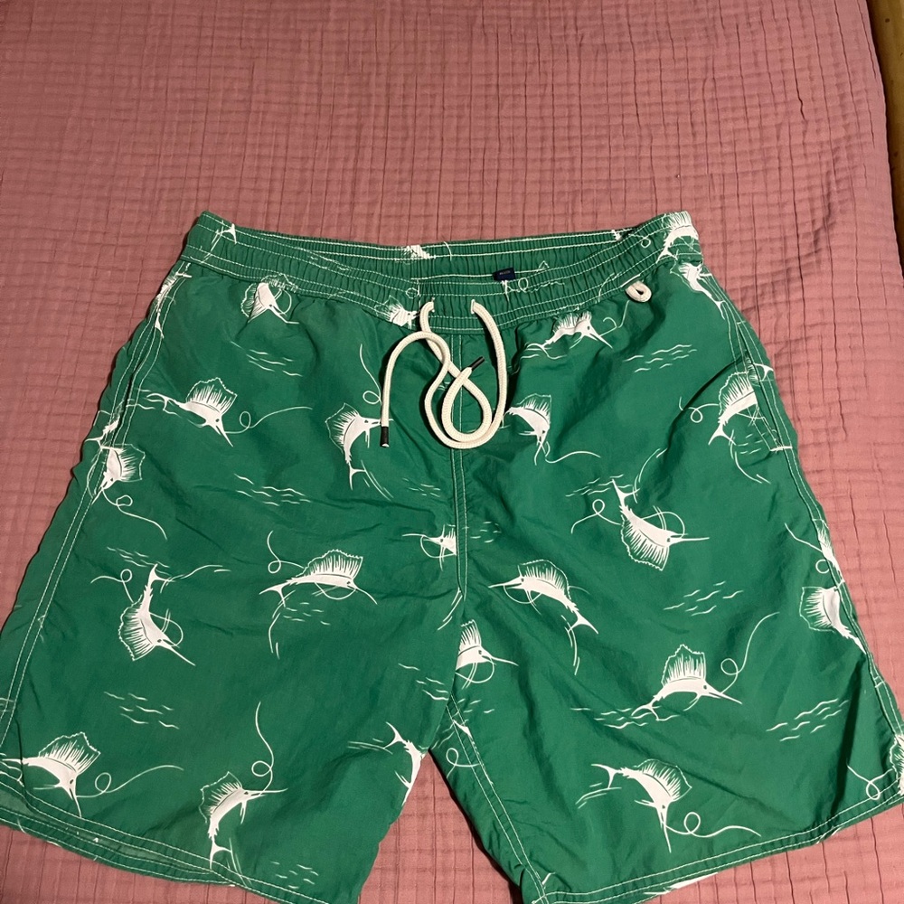 Polo by Ralph Lauren Green and White Swim Trunks with Dynamic Design